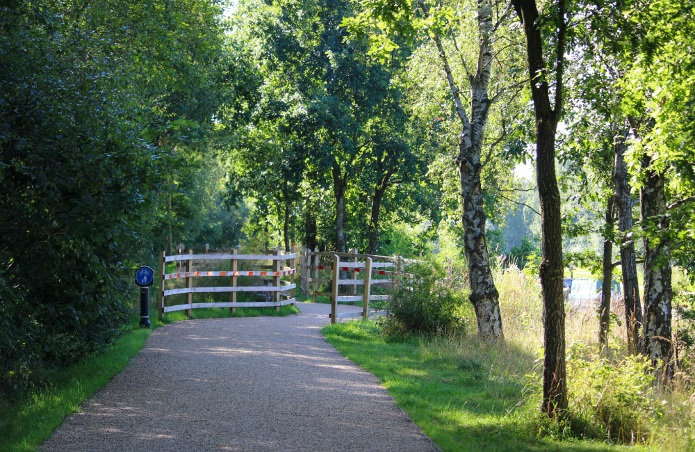 The Bridgewater Way The Bridgewater Way